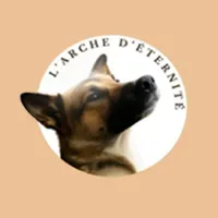 L'Arche d'Eternité