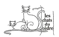 Les chats du Cèdre