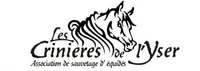 Les crinières de l'Yser