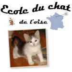 L'école du chat de l'Oise
