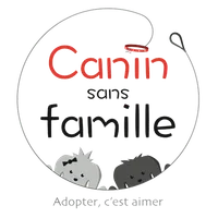 Canin sans Famille