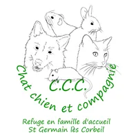 Chat Chien & Cie