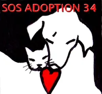 SOS Adoption 34