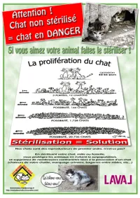 Les Restos du Chat