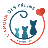 L'Amour des Félins