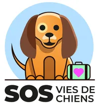 SOS Vies de chiens