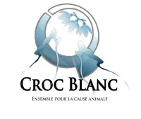 Croc-blanc