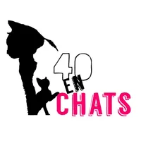 40 En Chats