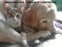 Association des Animaux d'Aubervilliers