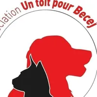 Un toit pour Becej