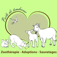 Poils de Tendresse