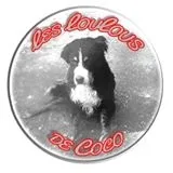 Les Loulous de Coco