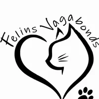 Felins Vagabonds