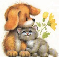 Association Catalane de Protection Animale