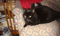 La Gatine