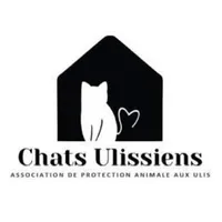 Chats ulissiens