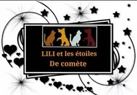 Lili et les étoiles de comète
