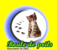 Boule de poils