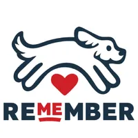 Remember Me France