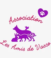Les amis de Vasco