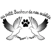 Au petit bonheur de nos oubliés