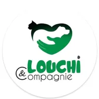 Lou Chi & Co