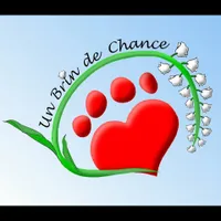 Un brin de chance