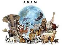 Association ADAM
