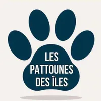 LES PATTOUNES DES ILES