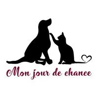 Mon jour de chance