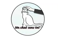 Un chat sans toi