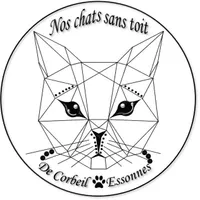 Nos chats sans toit