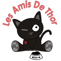 Les Amis De Thor
