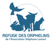 Refuge des Orphelins de l'Association Stéphane LAMART "Pour la défense des droits des animaux"
