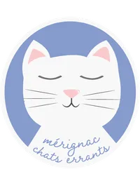 Mérignac Chats Errants