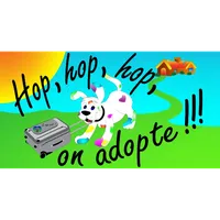 Hop, hop, hop on adopte !