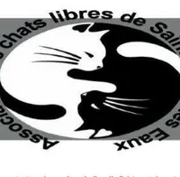 Les chats libres de St Amand les Eaux
