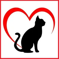 Les chats mail