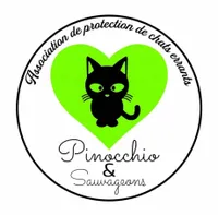 Pinocchio Et Sauvageons