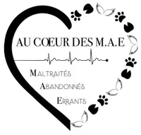 AU COEUR DES MAE