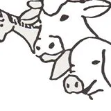 La ferme des animaux sauvés de la mort (F.A.S.M.)