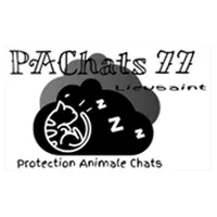 PAChats 77