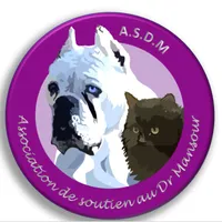 ASDM