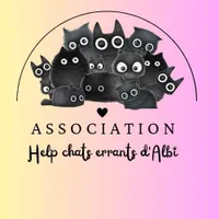 Help chats errants d'Albi