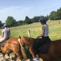 Cheval en selle
