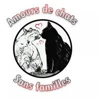 Amours de Chats sans familles