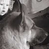 Association des ptits loups  (PLDPL)