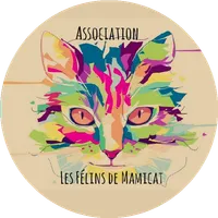 Les Félins de mamicat