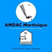 La Maison du Chat - AMDAC Martinique