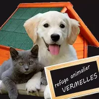 Refuge de Vermelles Foyer Animalier Vermellois
